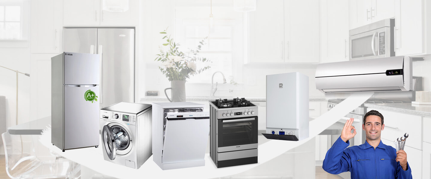 Adapazarı Electrolux Servisi